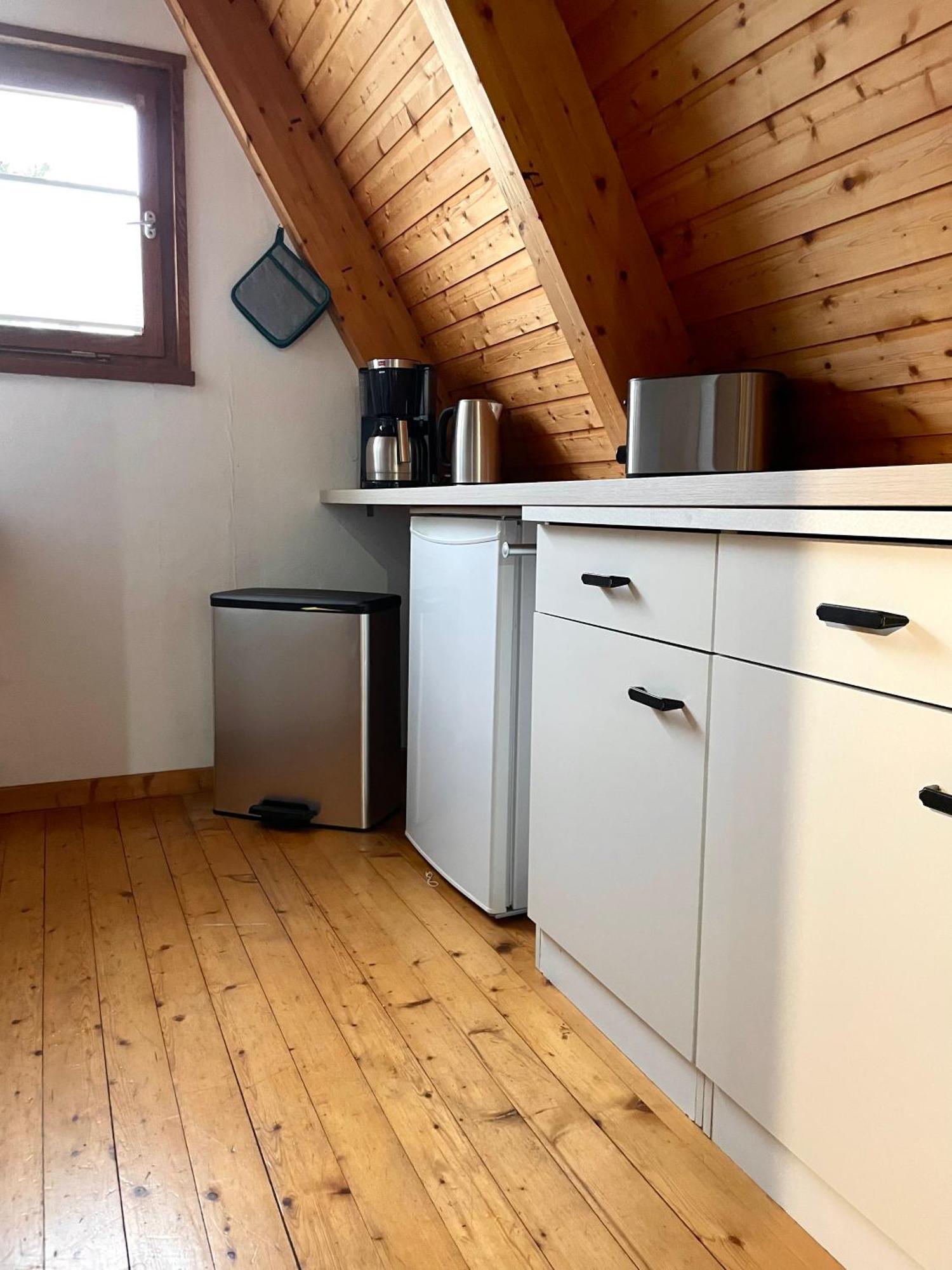 Nur-Dach-Haus Am Alfsee Rieste Extérieur photo